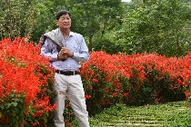 Mưa hạ