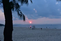 Những vần thơ Xuân Ất Tỵ