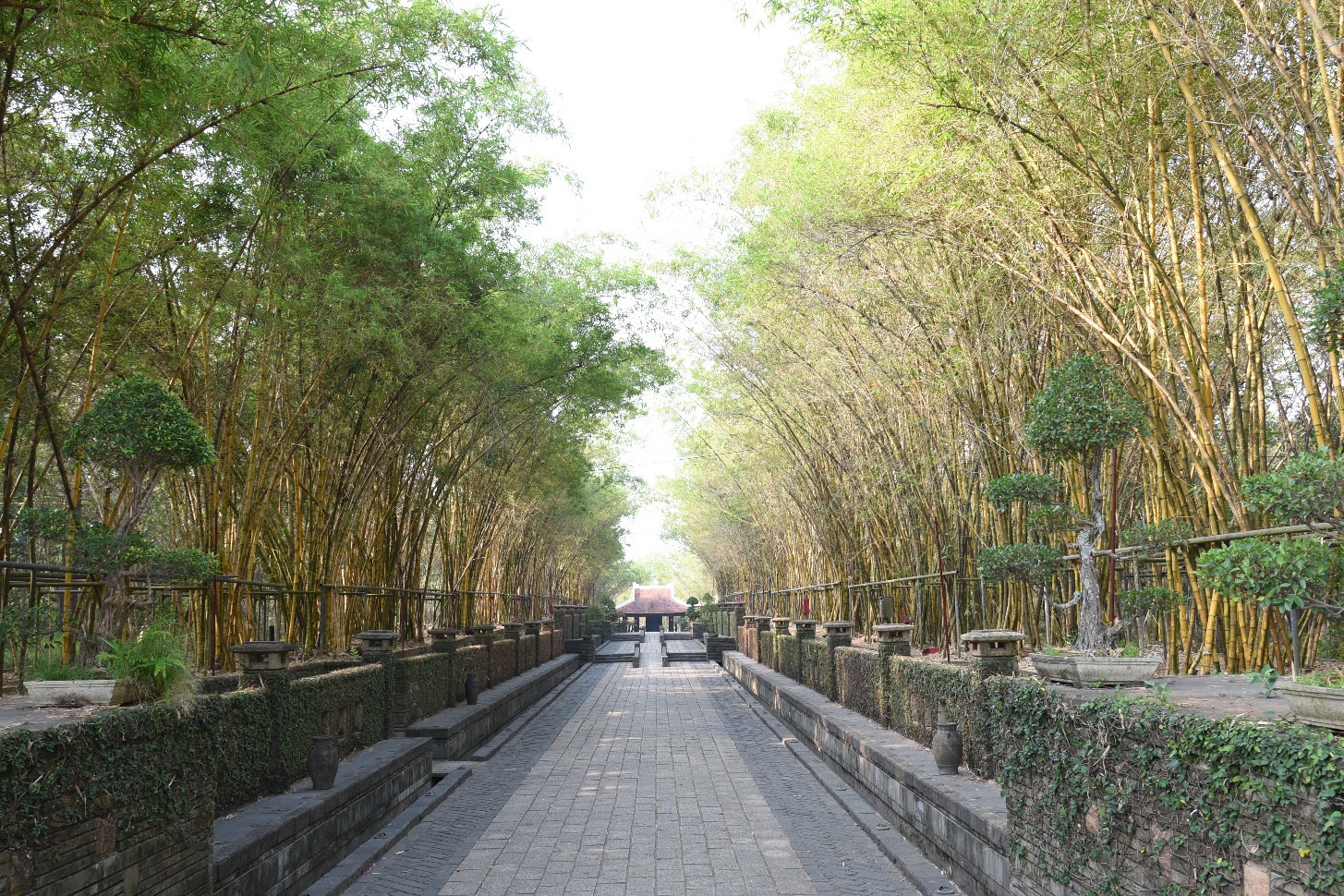 Những vần thơ lẻ trích Ký ức một thời hoa lửa