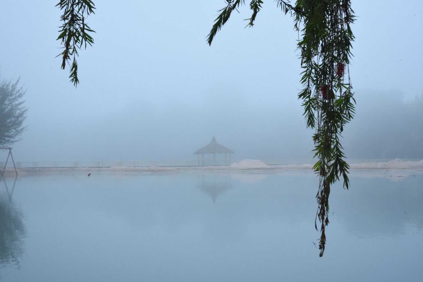 Những cung bậc cảm xúc