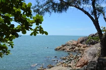 Những vần thơ Thụy Sơn: Câu thơ chảy vào sông vào bể, Tổ quốc, Tri ân thầy cô