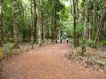 Chiến Khu Đồ Sơn
